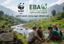 भीमदत्तमा मानव–वन्यजन्तु सहअस्तित्व कार्यक्रम : वातावरण संरक्षणसँगै द्वन्द्व न्यूनीकरणमा जोड